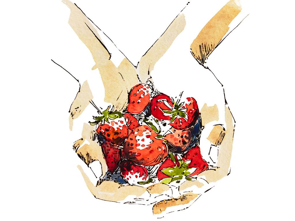 A painting showing two cupped hands holding strawberries